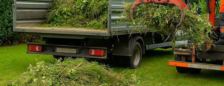 Évacuation de déchets verts (végétaux) dans le Val D’Oise (95)