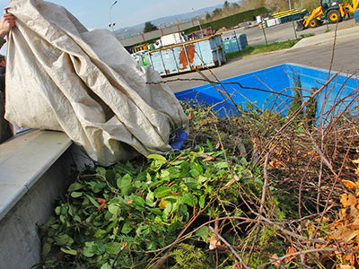 Évacuation déchets verts 95